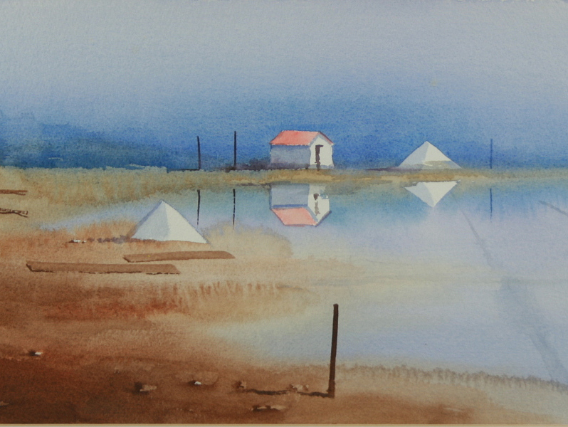 António Neves - Salinas | Aveiro
