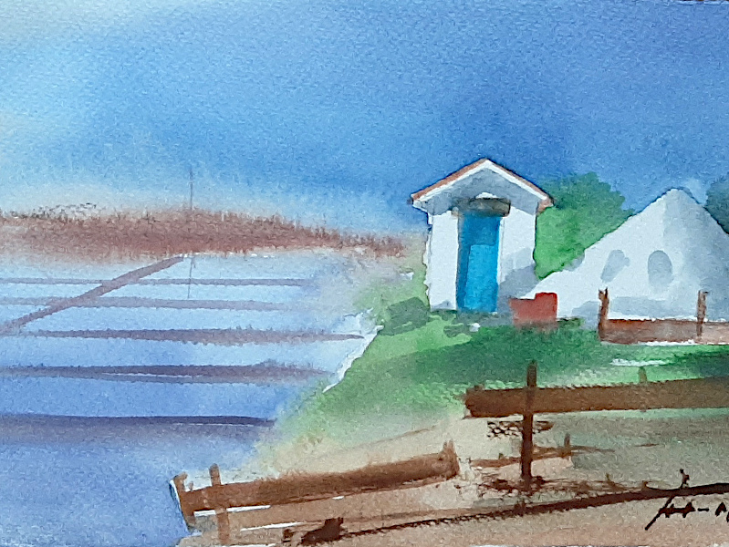 António Neves - Salinas | Aveiro